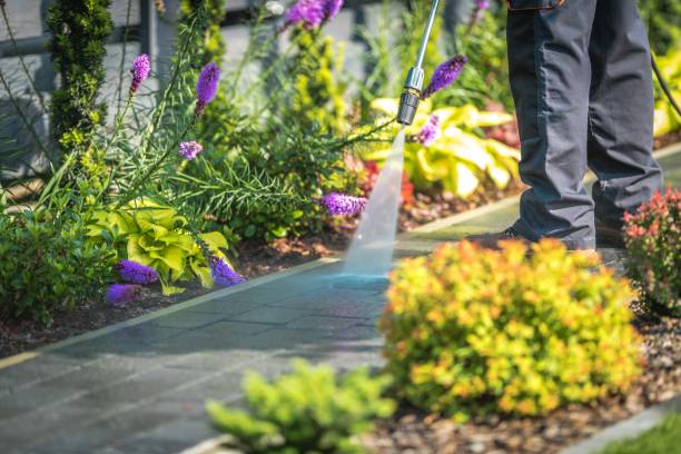 Best Gutter Cleaning  in Schulenburg, TX
