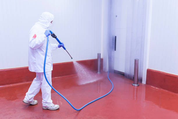 Best Paint Preparation  in Schulenburg, TX