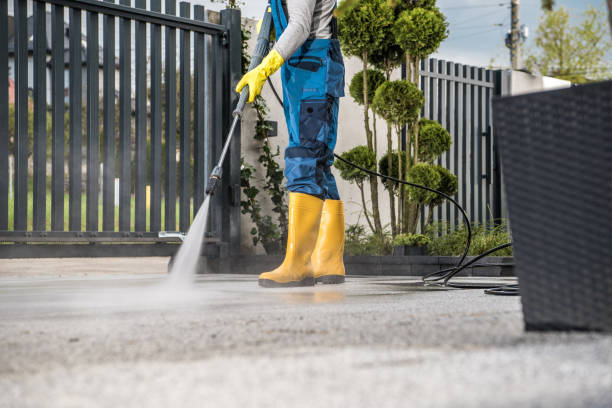 Best Sidewalk and Walkway Cleaning  in Schulenburg, TX